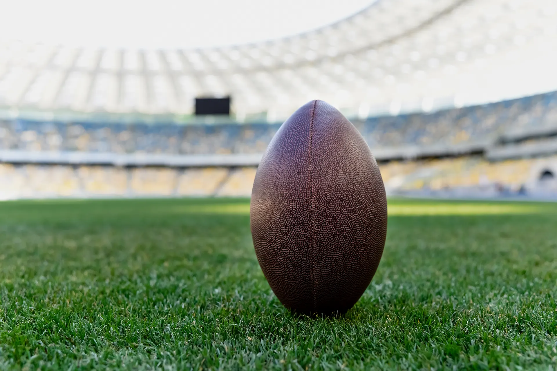 Spor tesisi danışmanlığı 5 Spor tesisi danışmanlığı rugby field